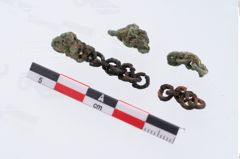Foto von Bronzekettchen (NHMW-PRAE-078106)